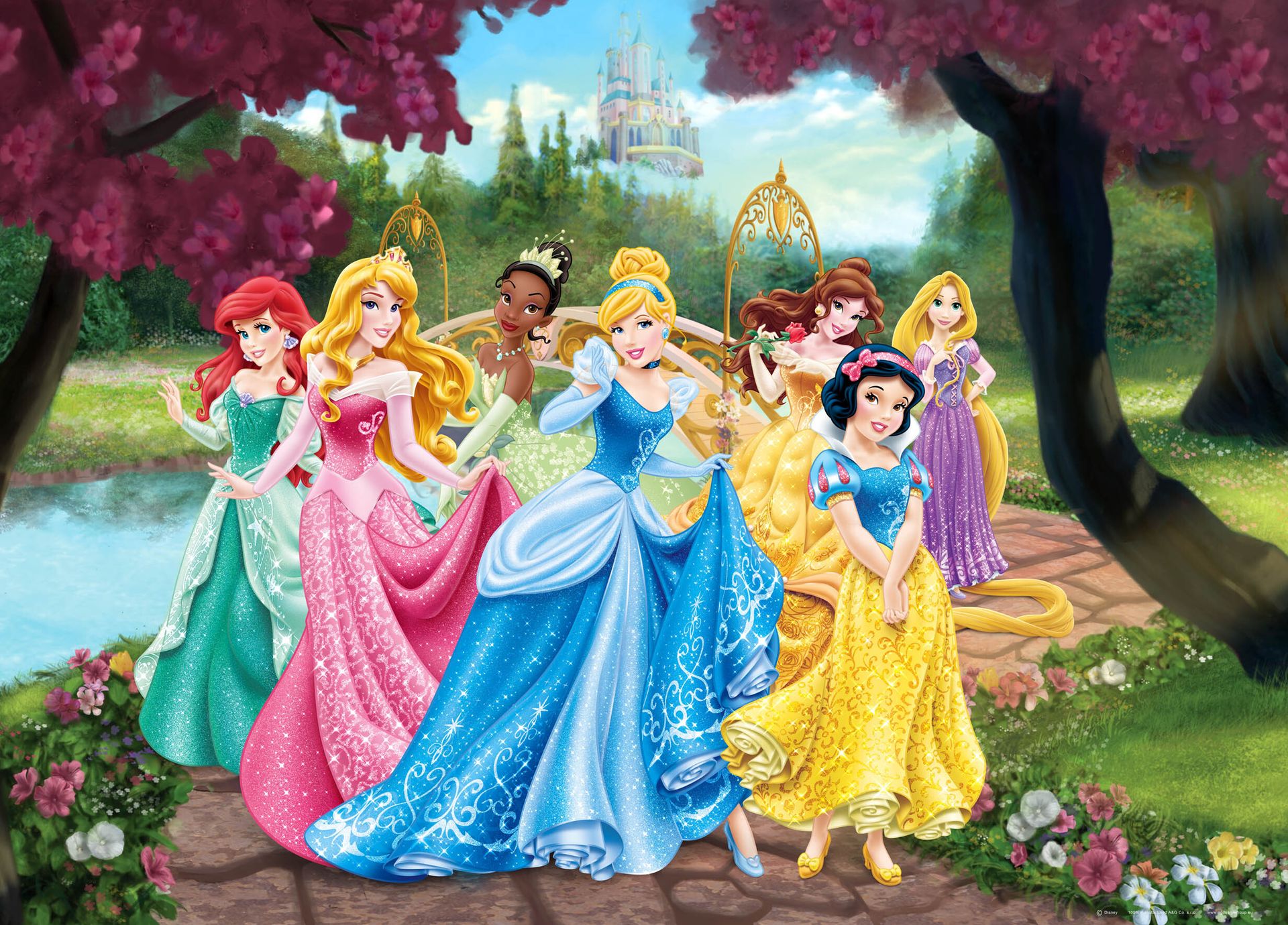 Disney plakat księżniczki różowym,żółtymIniebieskim - 600655 - 160 x 110 cm