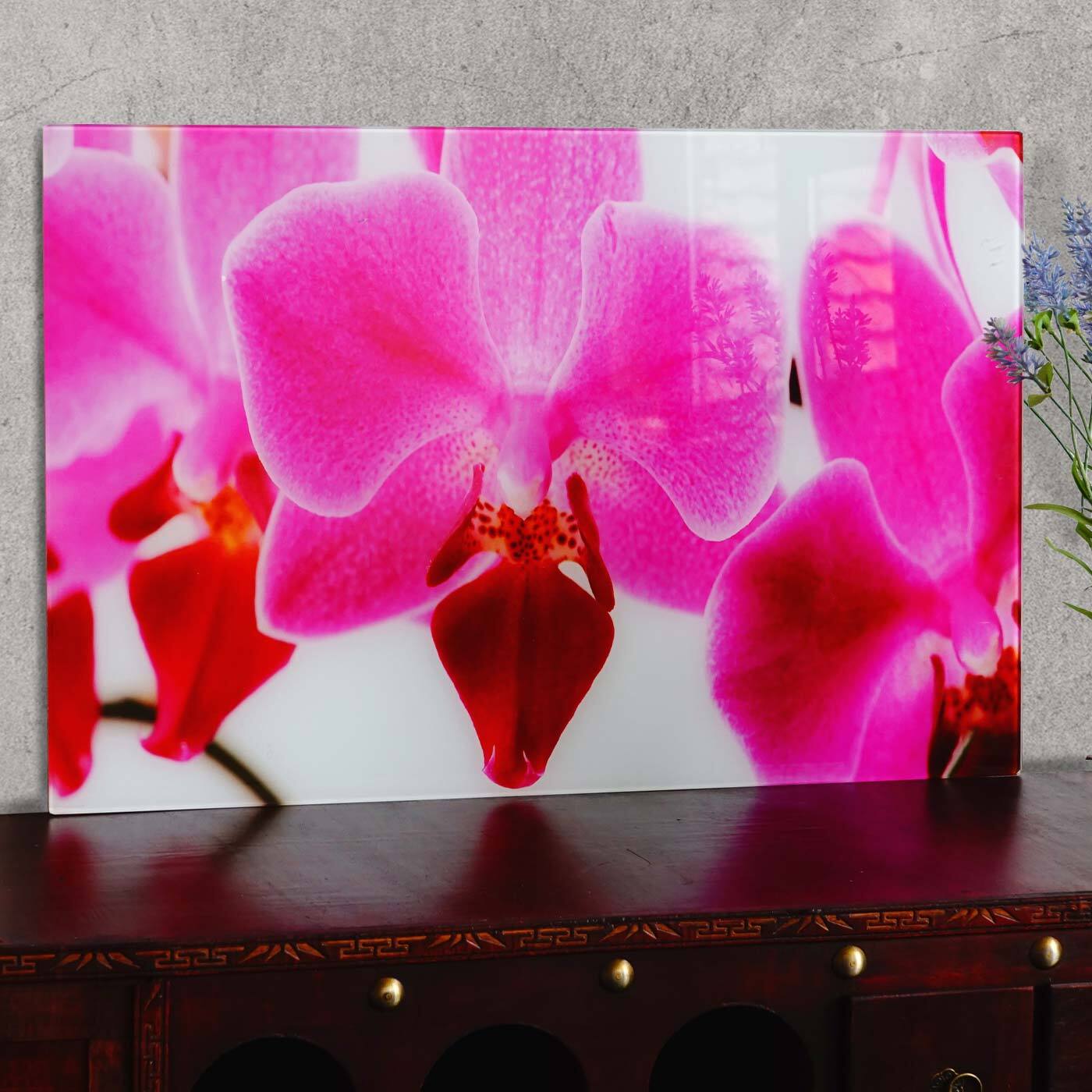 Obraz szklany T116, motyw plakatu na ścianę, 40x60cm ~ Orchidea