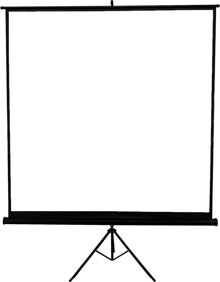 Mucola ekran projekcyjny ekran kinowy ekran zwijany ekran do projektora ekran do prezentacji kina domowego - statyw 178CM