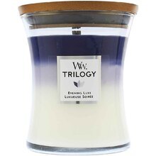 Woodwick Trilogy Evening Luxe Świeca Zapachowa z Drewnianym Knotem 609 G
