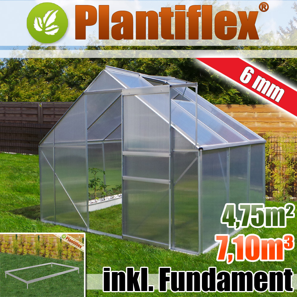 Szklarnia aluminiowa 7.58m³ z fundamentem 250x190cm szklarnia ogrodowa szklarnia aluminiowa szklarnia pomidorowa 4.75m² - szkło 6mm - srebrna
