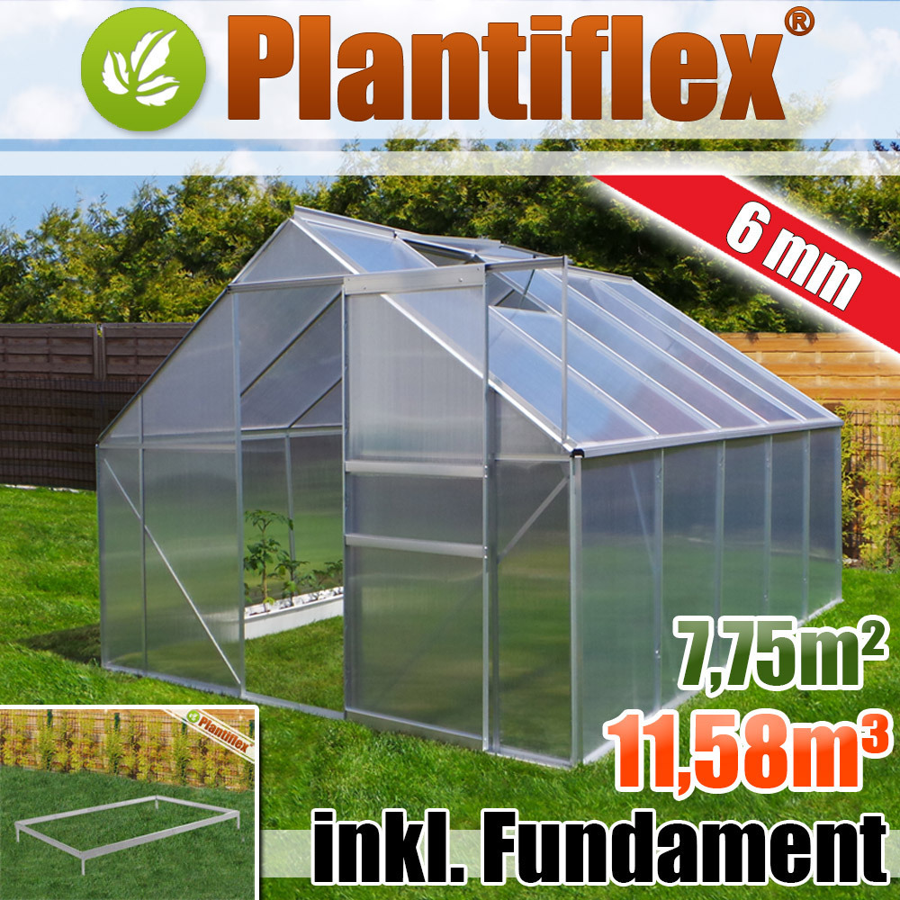 Szklarnia aluminiowa 11.58m³ z fundamentem 250x310cm szklarnia ogrodowa szklarnia aluminiowa szklarnia pomidorowa 7.75m² - szkło 6mm - srebrna