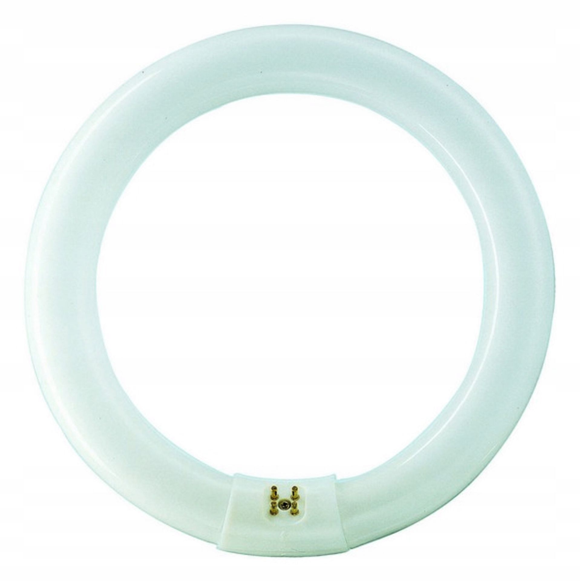 Philips okrągły Master Tl-e Circular 80 32W/840 1CT G10q