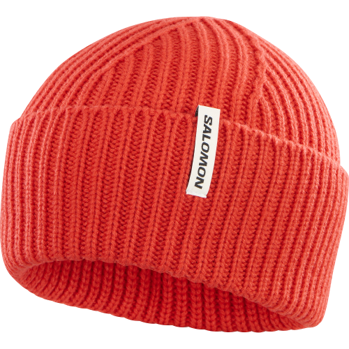 CZAPKA SALOMON SNOWBIRD C23296