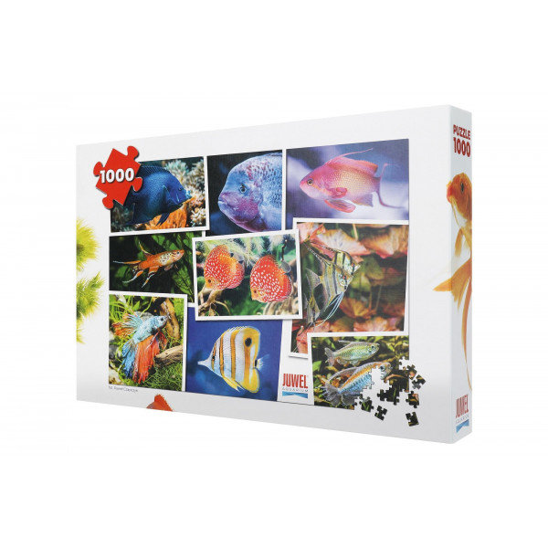 Trefl, puzzle, Juwel V1, 1000 el.