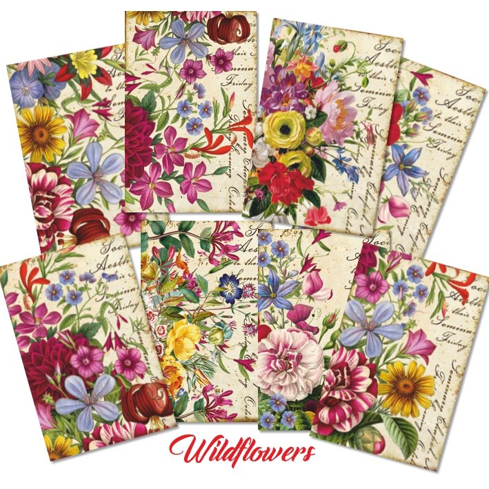 Papiery do Scrapbookingu - Bileciki Prezentowe – Karneciki Zestaw M155 polne kwiaty 24 szt