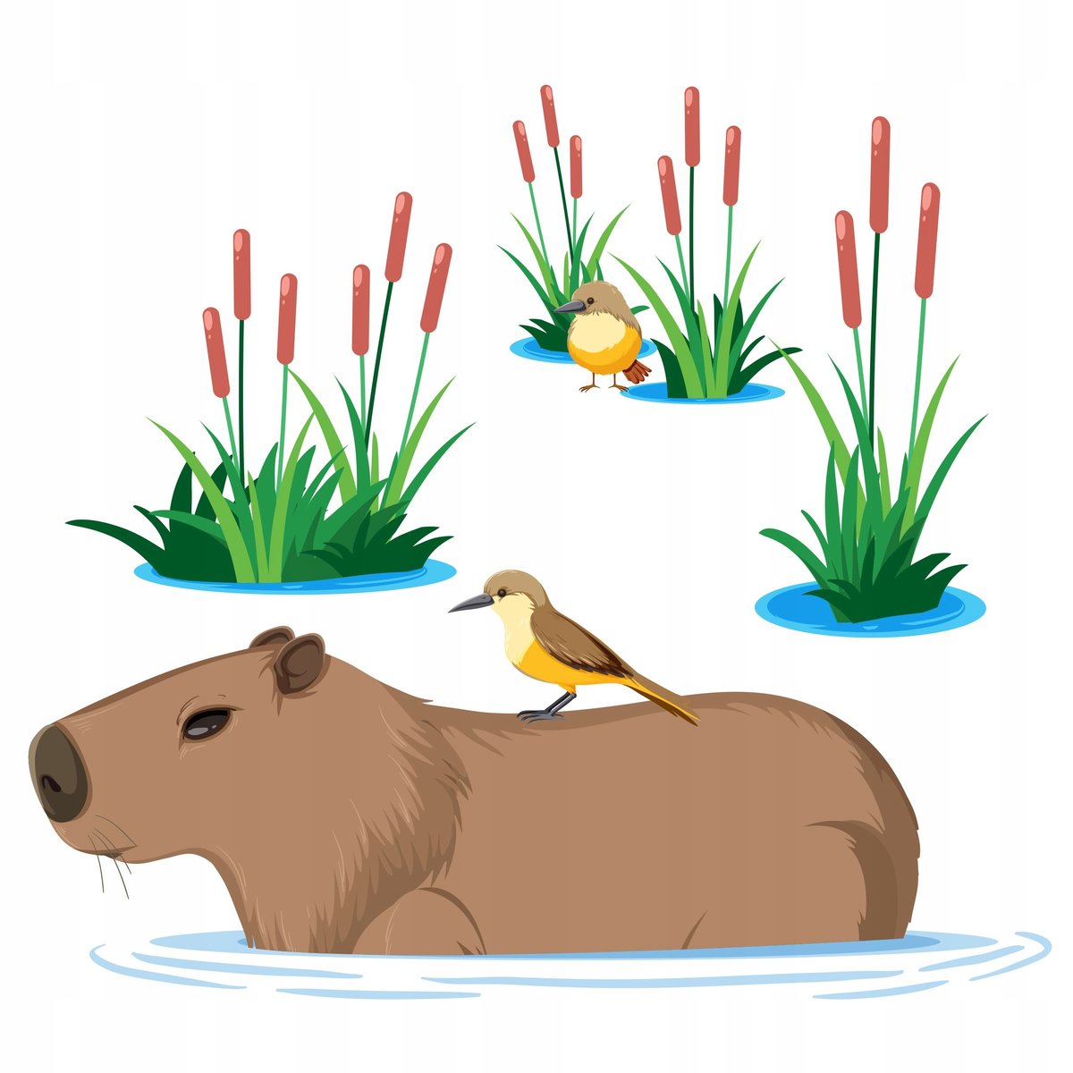 KAPIBARA Naklejka na ścianę Capybara naklejki ścienne dla dzieci cappybara / Centrum Naklejek