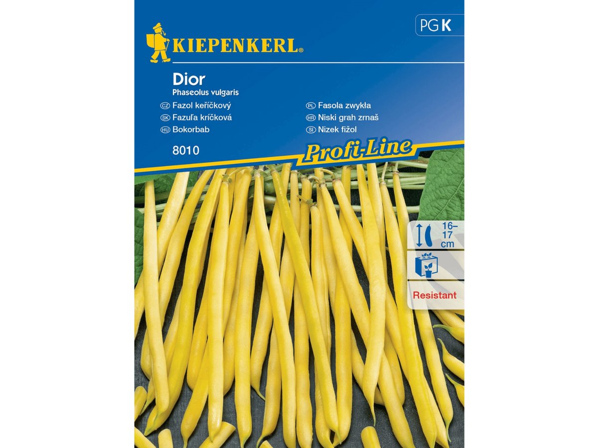 Fasola szparagowa żółta DIOR nasiona Kiepenkerl