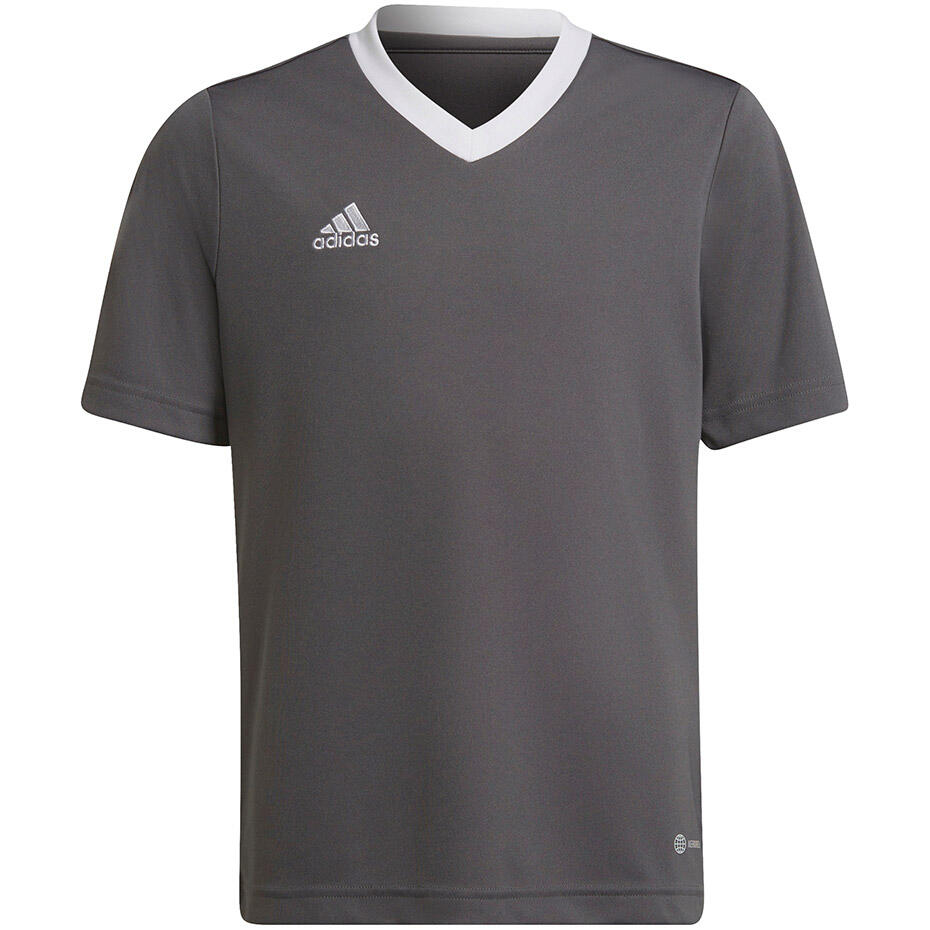 Dziecięca Koszulka z krótkim rękawem ADIDAS ENT22 JSY Y H57499 – Szary