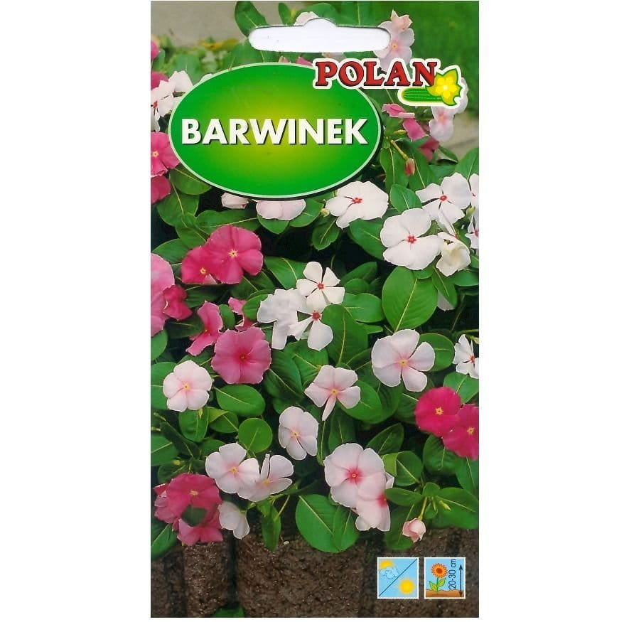 BARWINEK mniejszy mieszanka kolorów nasiona 0,2g