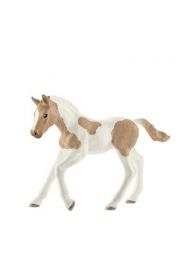 Źrebię rasy Paint Horse SLH13886