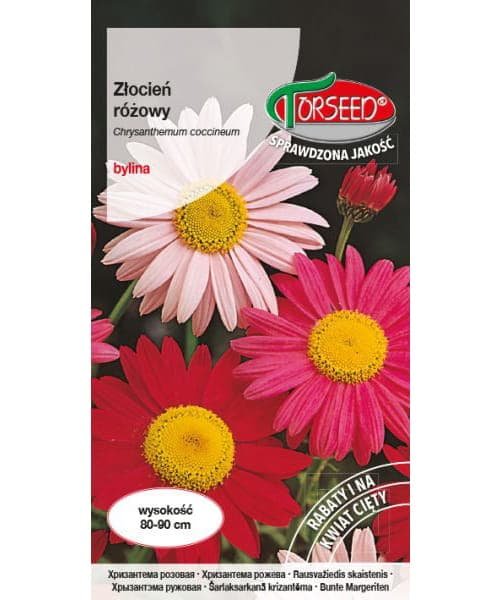 Nasiona Złocień różowy różowoczerwony 0,5g - Torseed