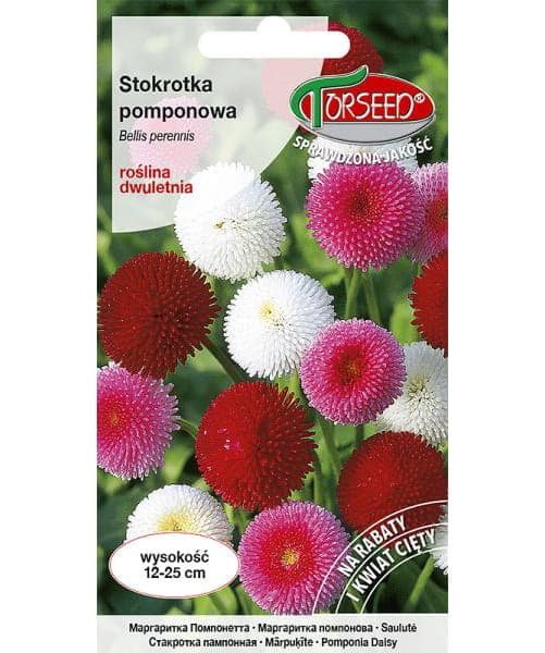 Nasiona Stokrotka pomponowa mieszanka 0,1g - Torseed