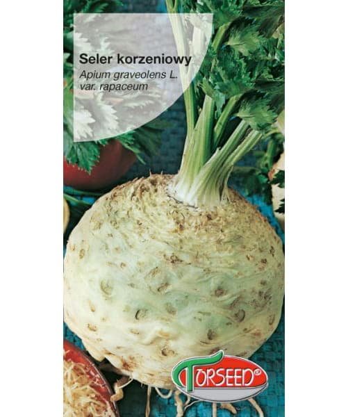 Nasiona Seler korzeniowy Talar 0,5g - Torseed