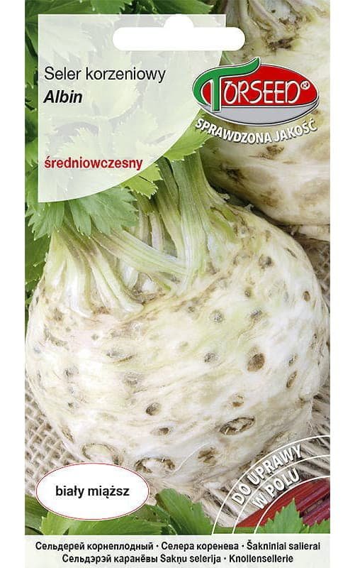 Nasiona Seler korzeniowy Albin 0,5g - Torseed
