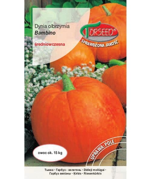 Nasiona Dynia olbrzymia Bambino 5g - Torseed