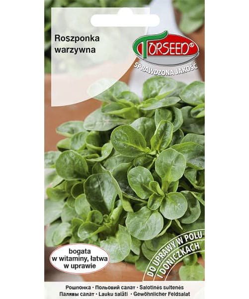 Nasiona Roszponka warzywna Verte de Cambrai 2g - Torseed