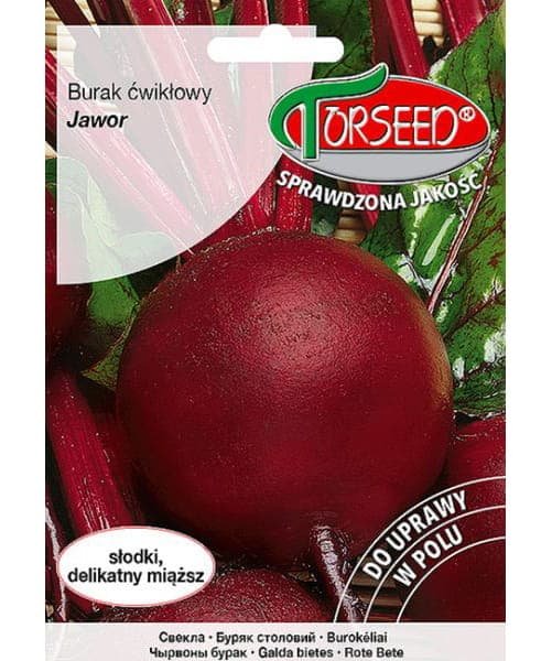 Nasiona Burak ćwikłowy Jawor 10g - Torseed