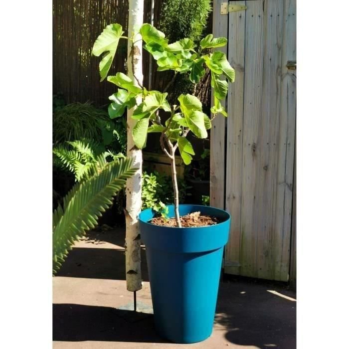 Skrzynka na kwiaty RIVIERA SOLEILLA - Plastik - Wysokość 53 cm - Niebieski