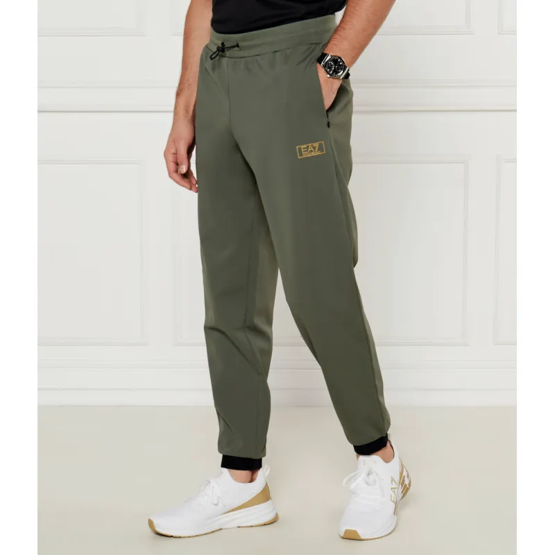 EA7 Spodnie dresowe | Regular Fit