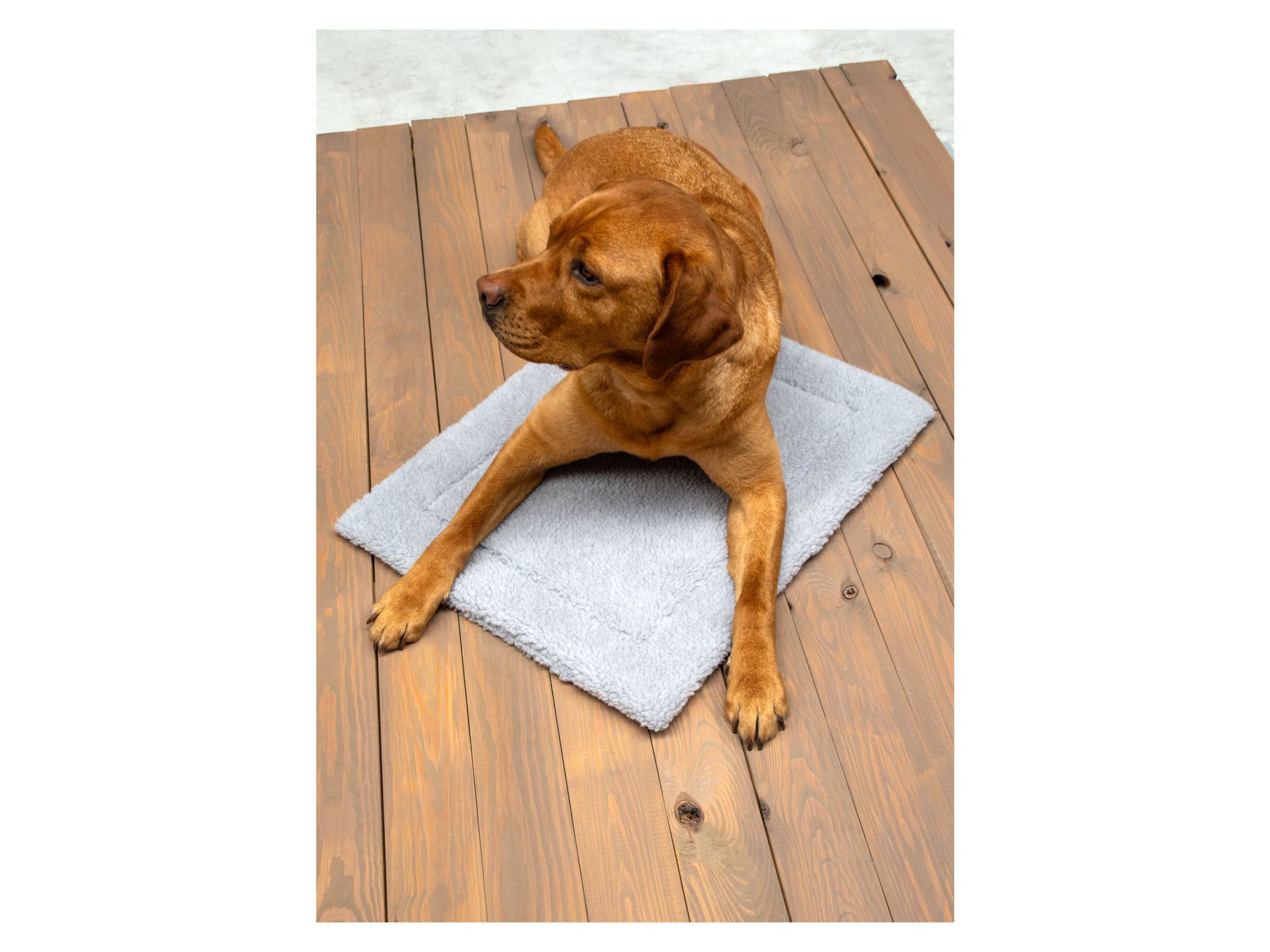 Karlie Mata grzewcza dla zwierząt, samonagrzewająca się (Jasnoszary)