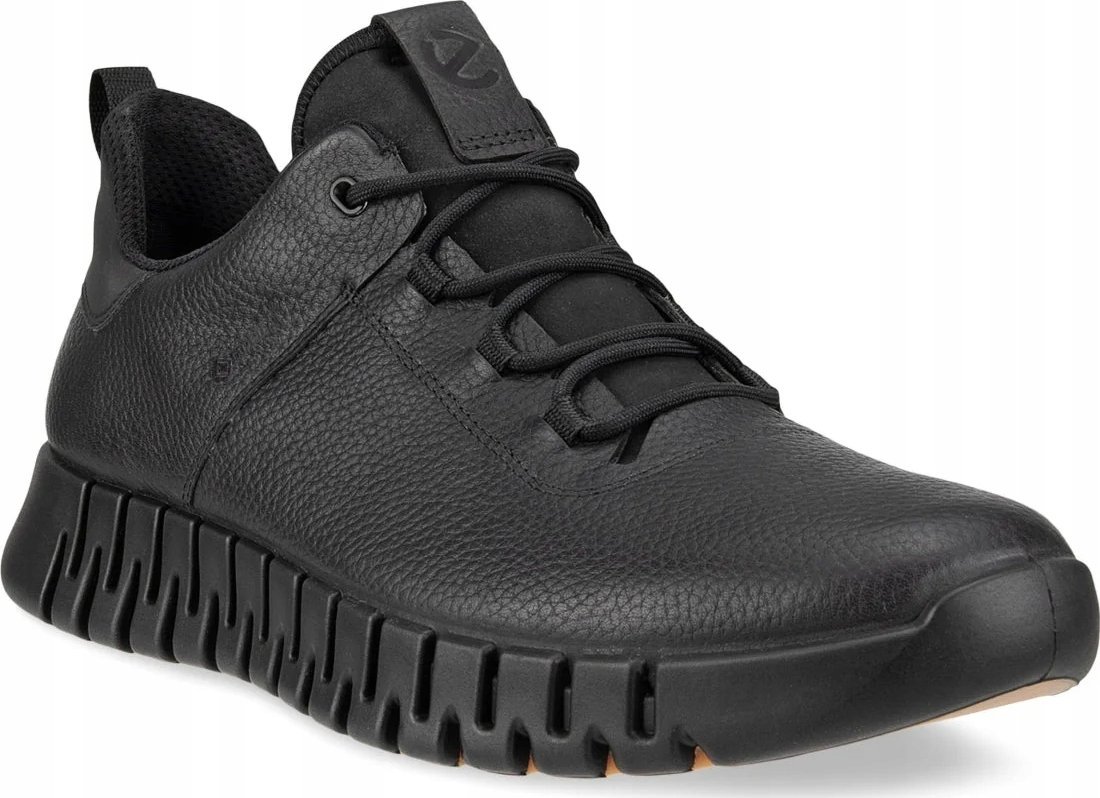 Buty trekkingowe męskie Ecco Ecco Gruuv M Lea GTX 525224-01001 Czarne 41