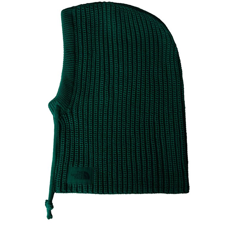 Kaptur The North Face Urban Lifestyle 0A88QZNL11 - zielony