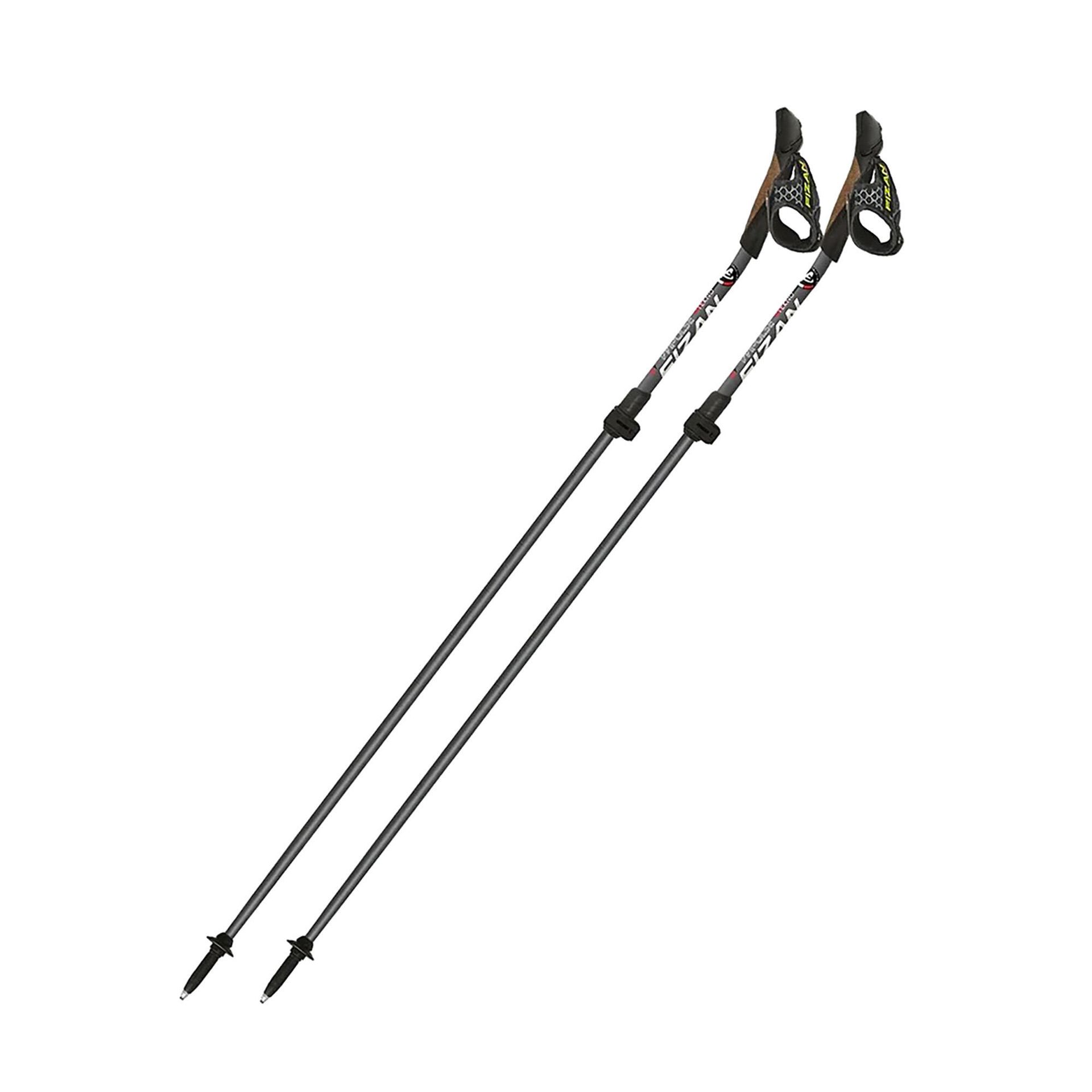 Kije nordic walking Fizan Tecno Impulse grey