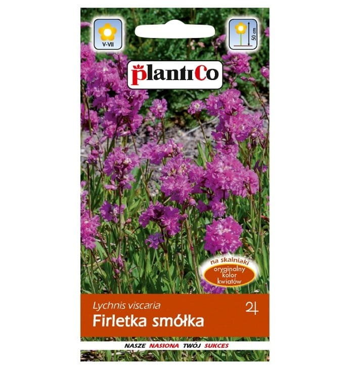 FIRLETKA SMÓŁKA Lychnis nasiona kwiatów 0,5g