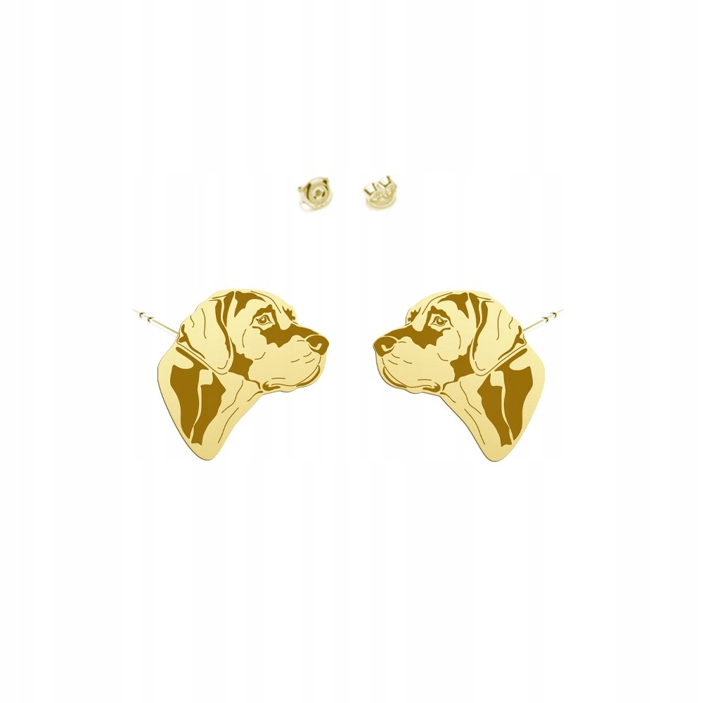 Kolczyki Złote z psem Louisiana Catahoula 925 Biżuteria sztyfty DEDYKACJA