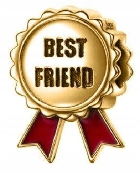 Charms złoty Best Friends srebro 925 zawieszka
