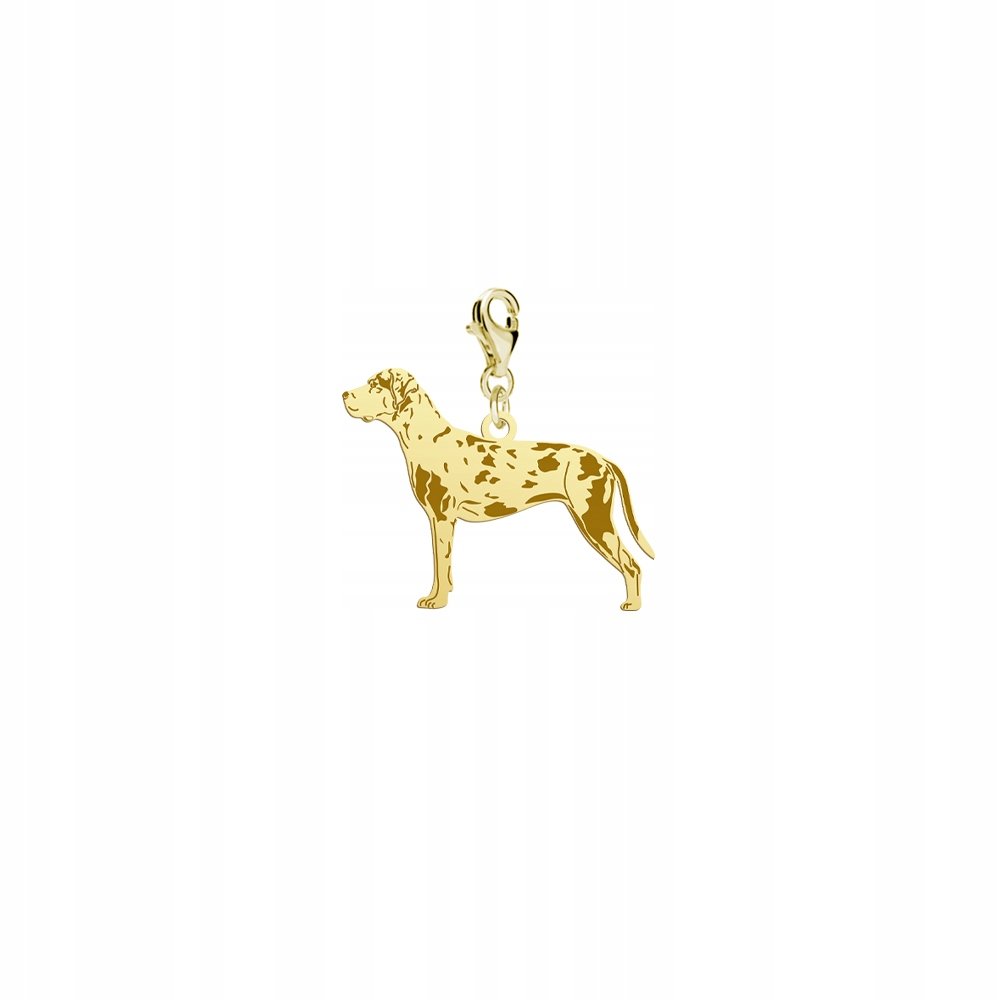 Charms Złoty z psem Louisiana Catahoula 925 Biżuteria Kobieta DEDYKACJA