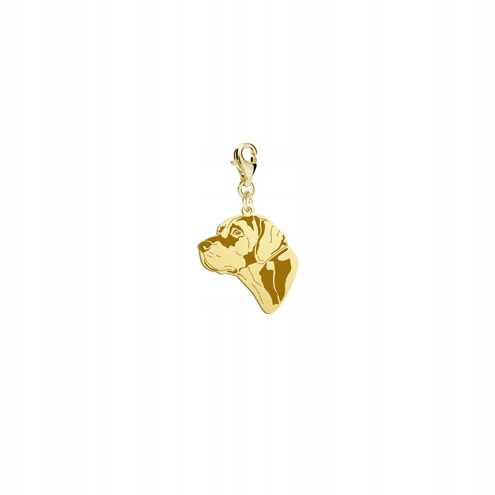 Charms Złoty z psem Louisiana Catahoula 925 Prezent Biżuteria DEDYKACJA