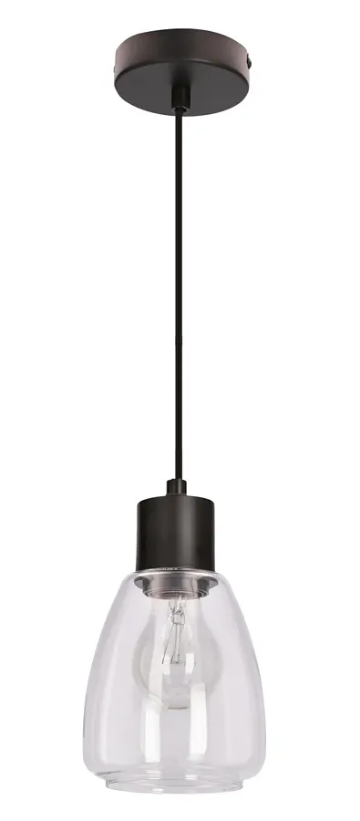 Nowoczesna lampa wisząca w stylu loftowym bezbarwna - D202 B5-D59