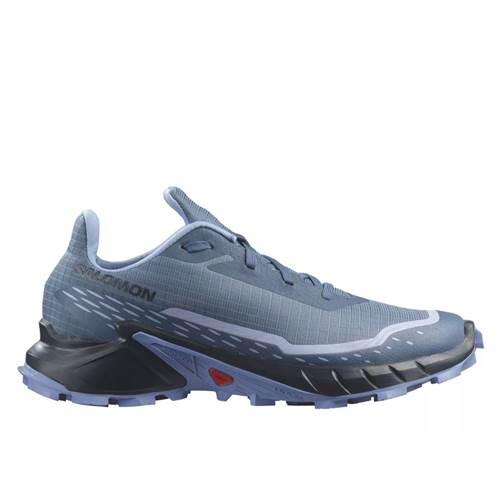 Salomon Damskie buty trekkingowe Alphacross 5, Bering Sea Carbon Blue Heron, 39 1/3 EU