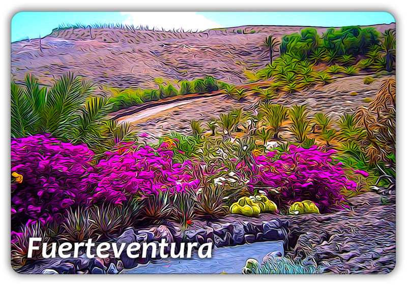 FUERTEVENTURA - Hiszpania - Wyspa Kanaryjska - Rośliny - Magnes na lodówkę