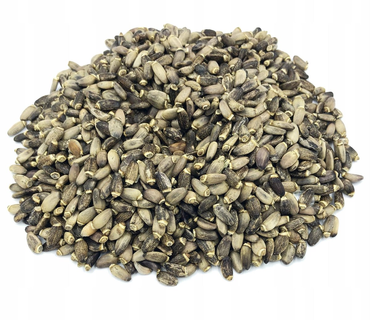 OSTROPEST PLAMISTY ZIARNA OSTROPESTU 500 G 100%
