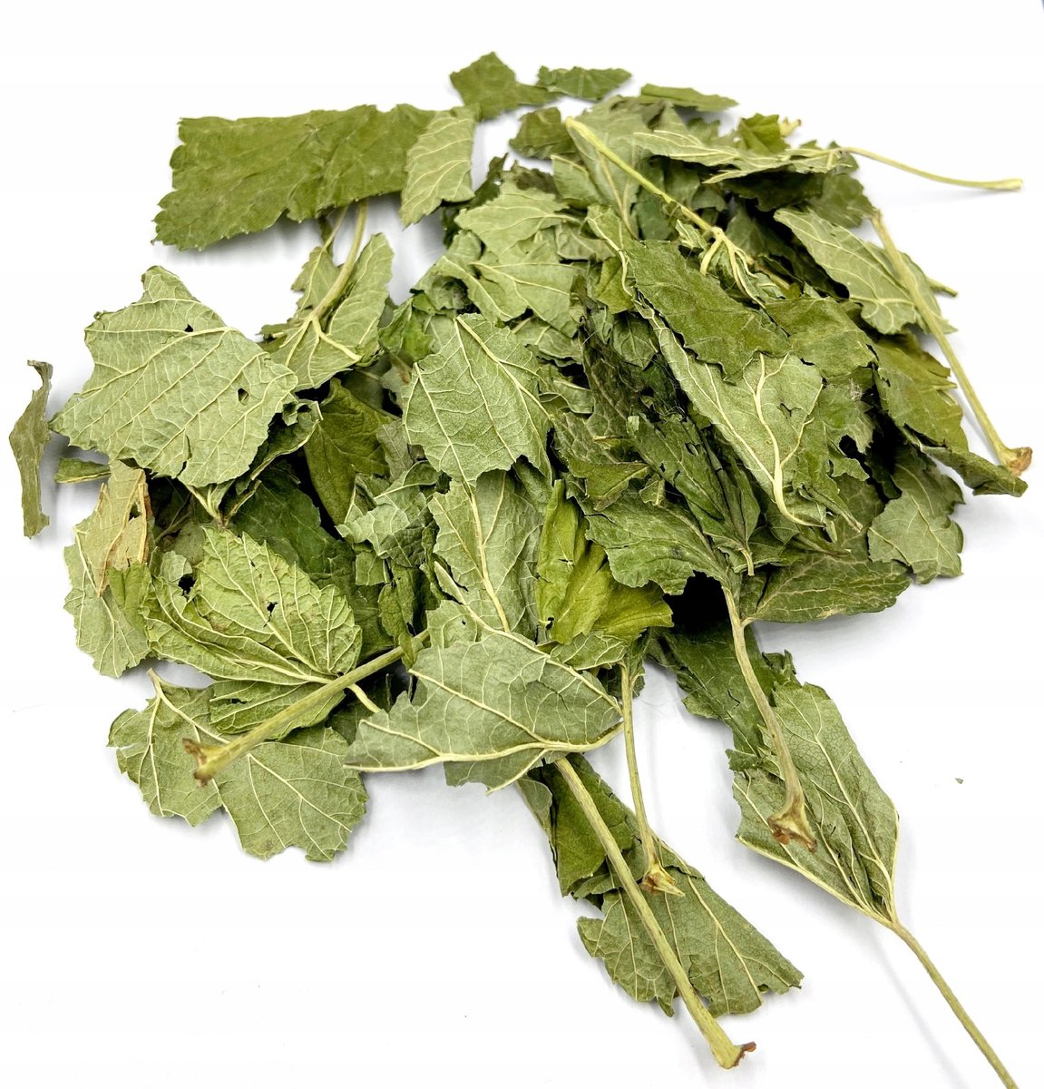 PORZECZKA CZARNA LIŚĆ CAŁY 1 KG NATURALNY SKLEP