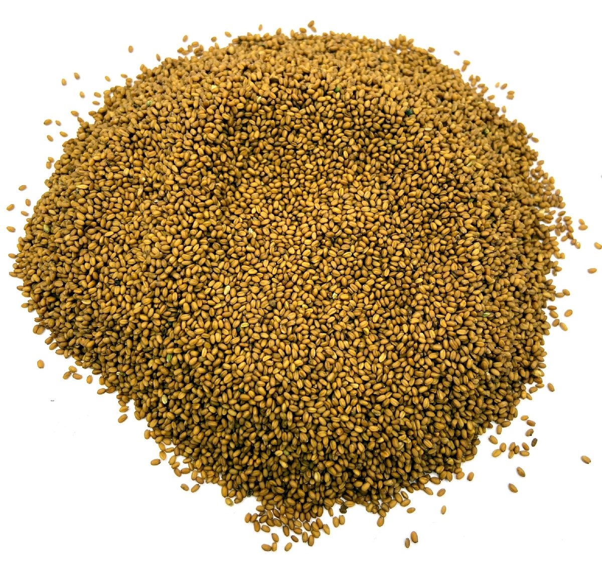 LNIANKA SIEWNA LNICZNIK NASIONA 200 G NATURALNY