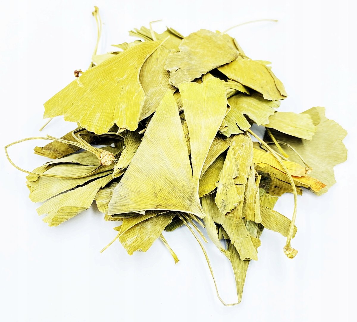 MIŁORZĄB DWUKLAPOWY LIŚĆ GINKGO BILOBA 1 KG 100%