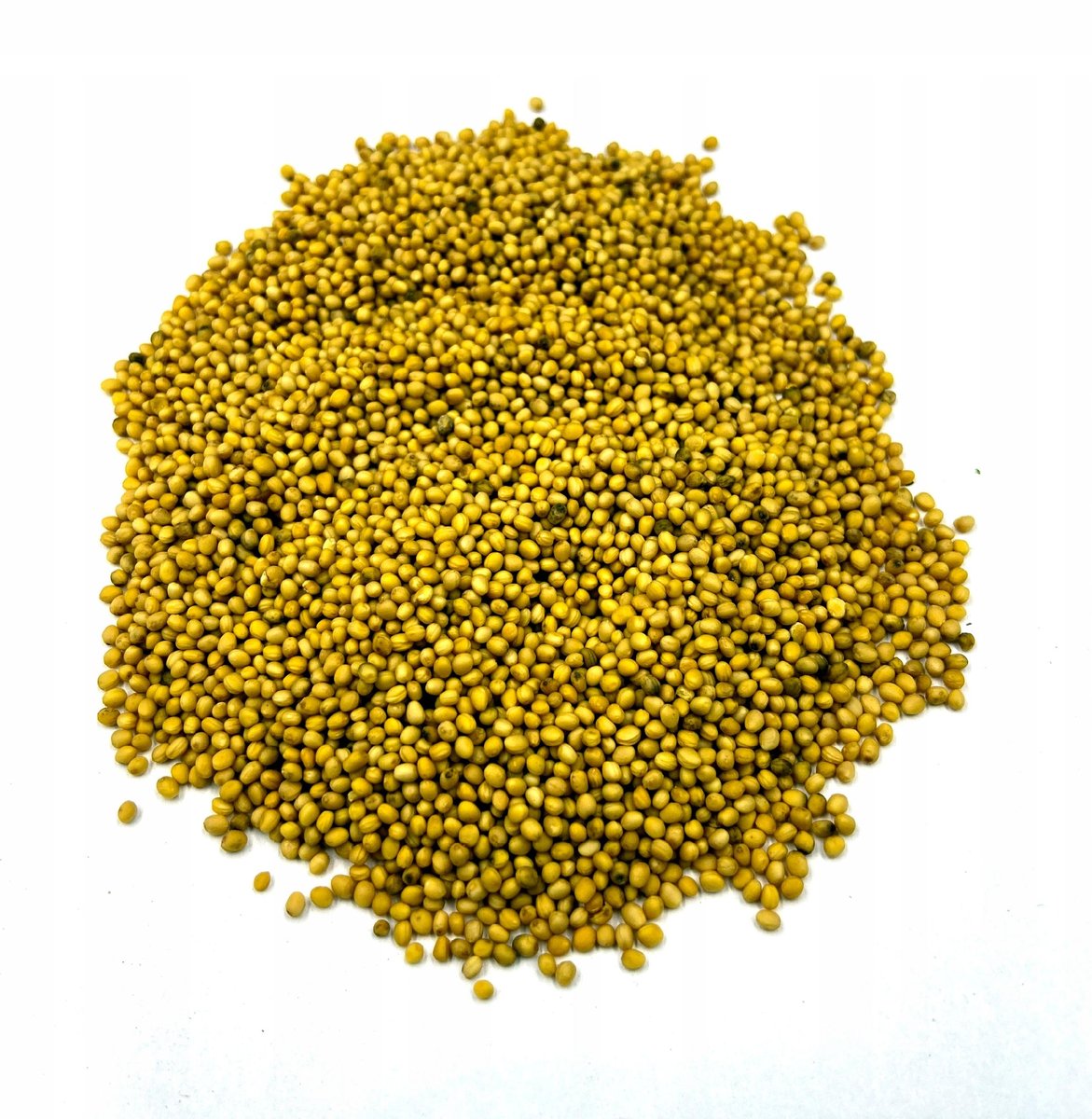 GORCZYCA ŻÓŁTA SAREPSKA 1 KG 100% NATURALNY SKLEP