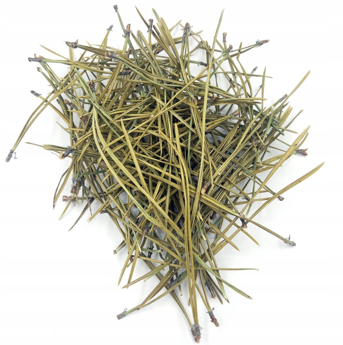 SOSNOWE IGŁY SOSNY 50 G 100% NATURALNY