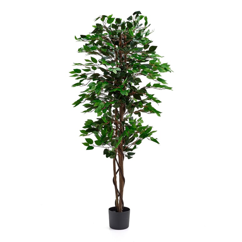 Sztuczna roślina EVERGREEN, Ficus Benjamin, W 1600 mm, 1 szt.