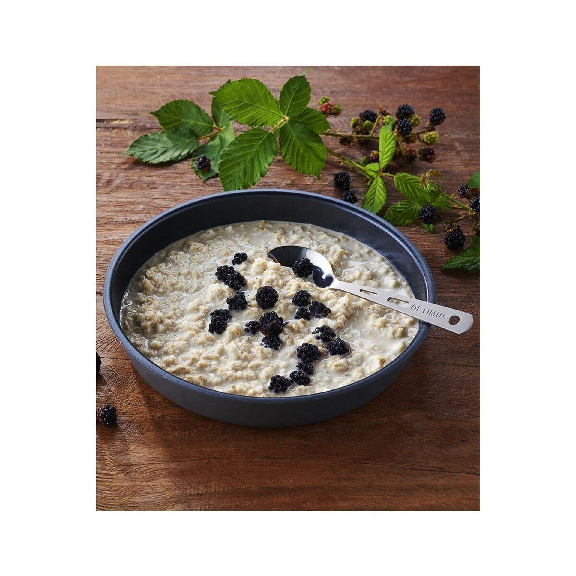 Żywność liofilizowana Trek n Eat - Owsianka z jabłkiem 260 g (30901001)