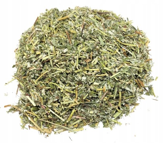 Ziele Srebrnika Pięciornik Gęsi Cięty 50 G