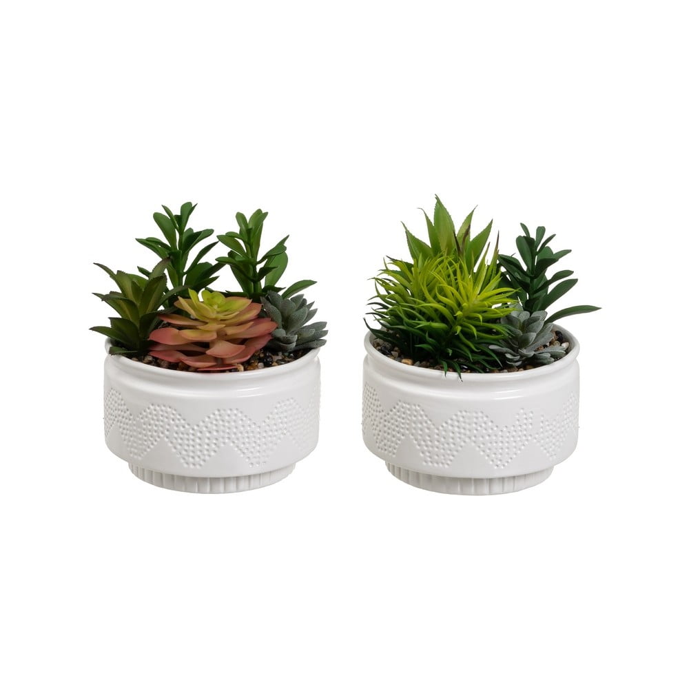 Sztuczne rośliny zestaw 2 szt. (wysokość 19 cm) Cactus – Casa Selección