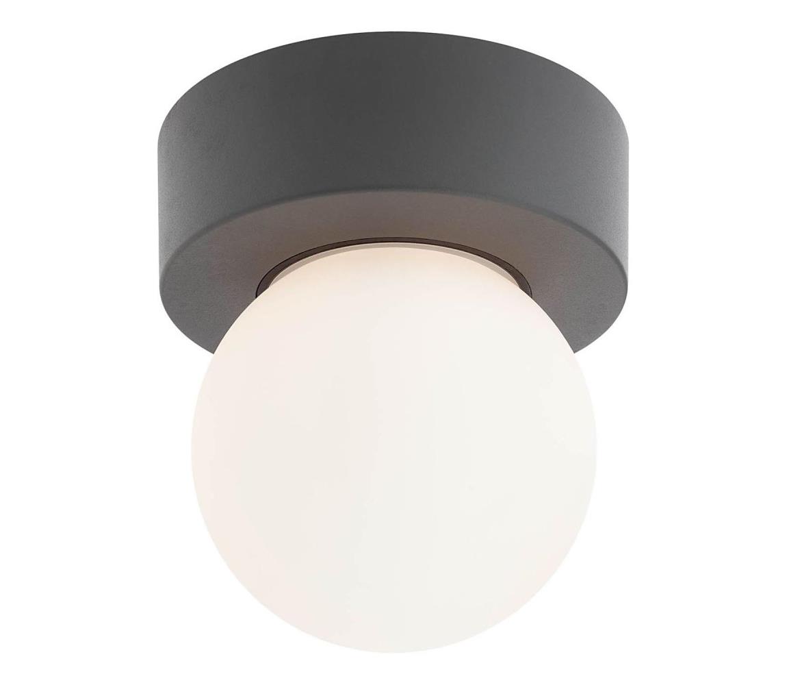 Redo 90641 - Plafon zewnętrzny BULK 1xE27/28W/230V IP44 antracyt