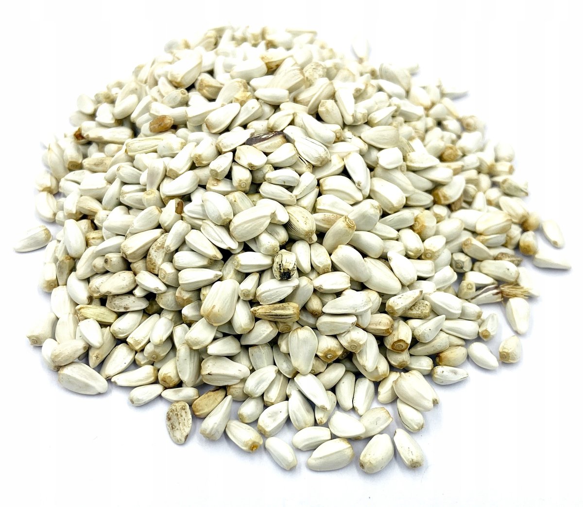 Krokosz Barwierski Nasiona Krokosza Barwierskiego 1 Kg 100% Naturalny