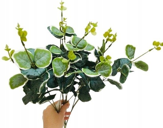 Liść Gałązka Eukaliptus Dodatek Do Stroika Wiązanki Sztuczna Łodyga Zielona