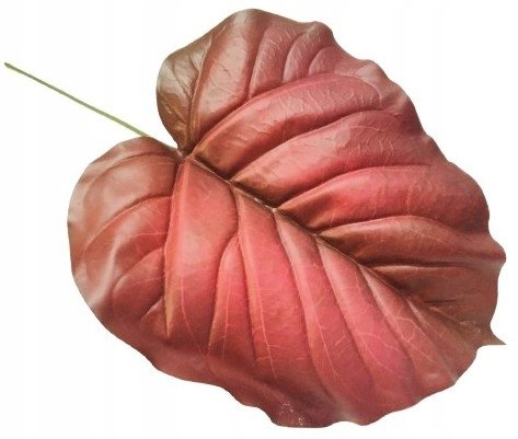Duży Liść Gumowany Jak Żywy Do Stroika Wiązanki Bukiet Łodyga Dodatek Pik